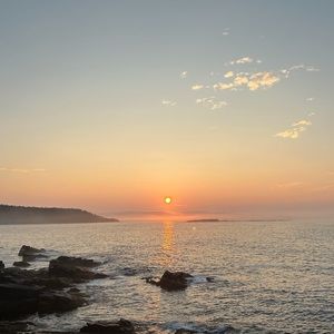 Meet your Posher, Rush